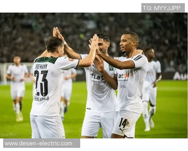 纽伦堡与门兴对决最新数据分析及赛季表现总结