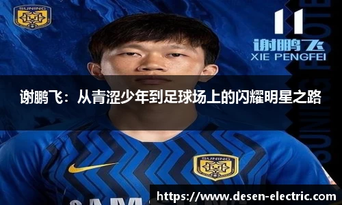 多宝体育全站